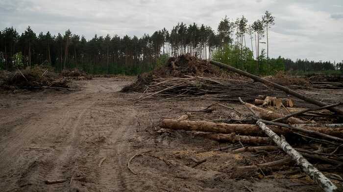 Що відбувається з будівництвом Національного військового меморіального кладовища